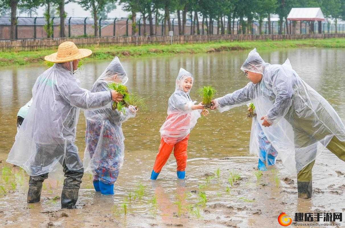 24 种男女插秧法提高效率：创新农耕模式